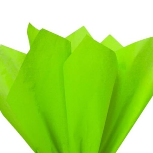 Imagen de PAPEL TISSUE VERDE MANZANA 20X26" 1/5 