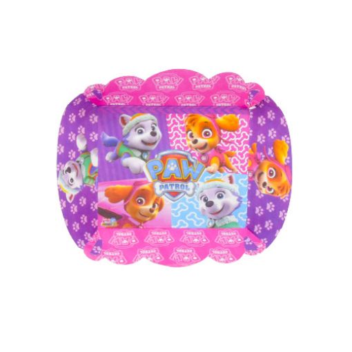 Imagen de BANDEJA BIZCOCHO SKYE 1/10 .**