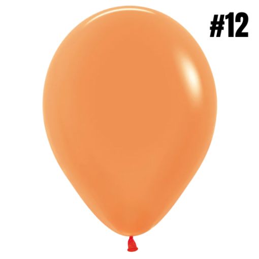 Imagen de VEJIGA 12 NARANJA BP 1/24 **