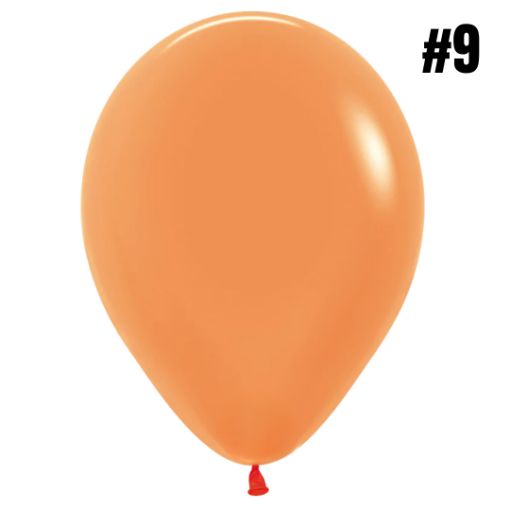 Imagen de VEJIGA 9 NARANJA BP 1/50 **