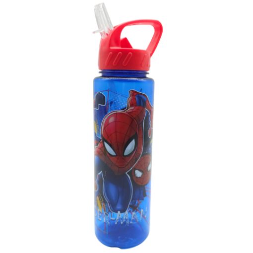 Imagen de TERMO SPIDERMAN 750ML 48/1