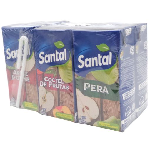 Imagen de JUGO SANTAL SORBETE 200ML 4/6**